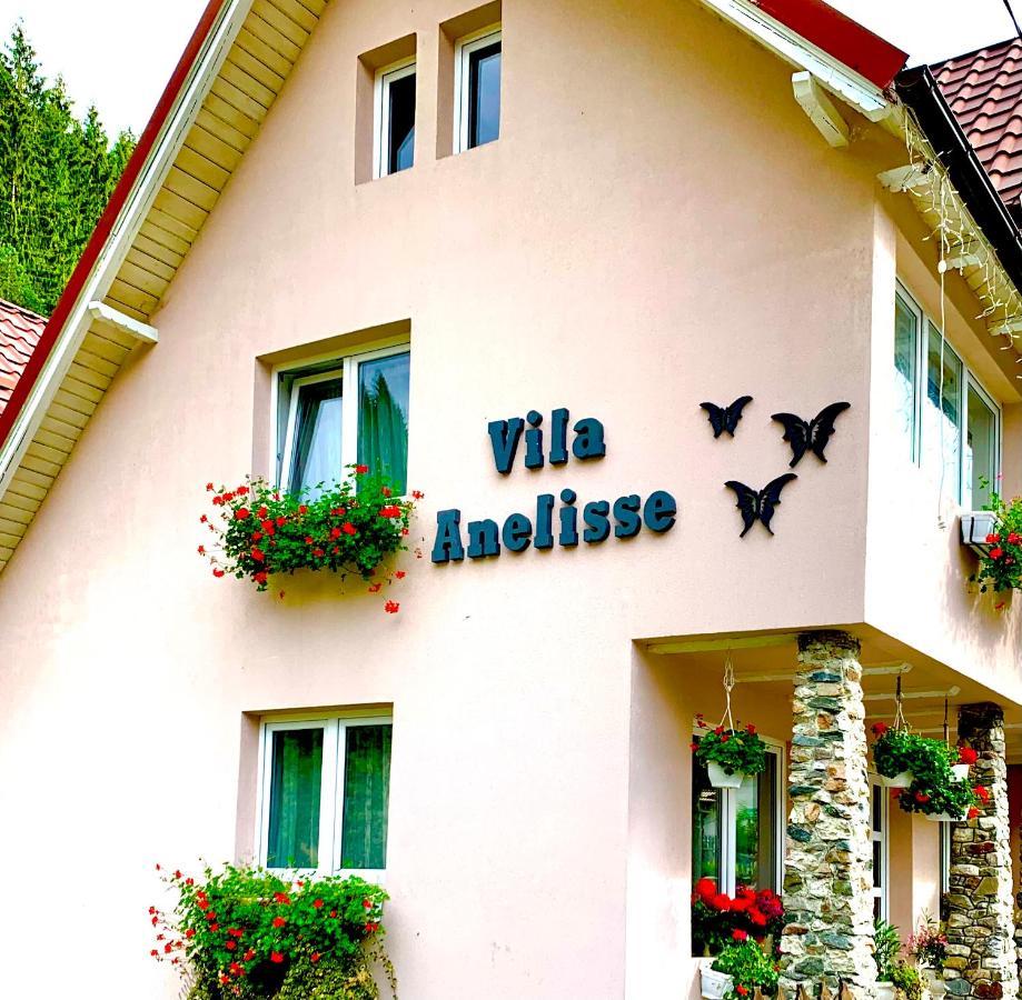 Anelisse Inn Moeciu De Sus Exteriör bild