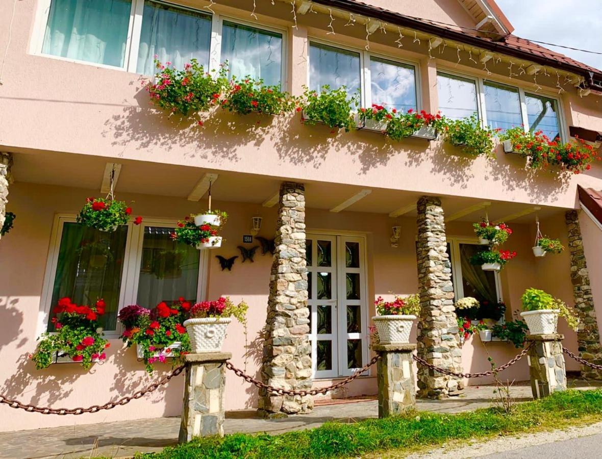 Anelisse Inn Moeciu De Sus Exteriör bild