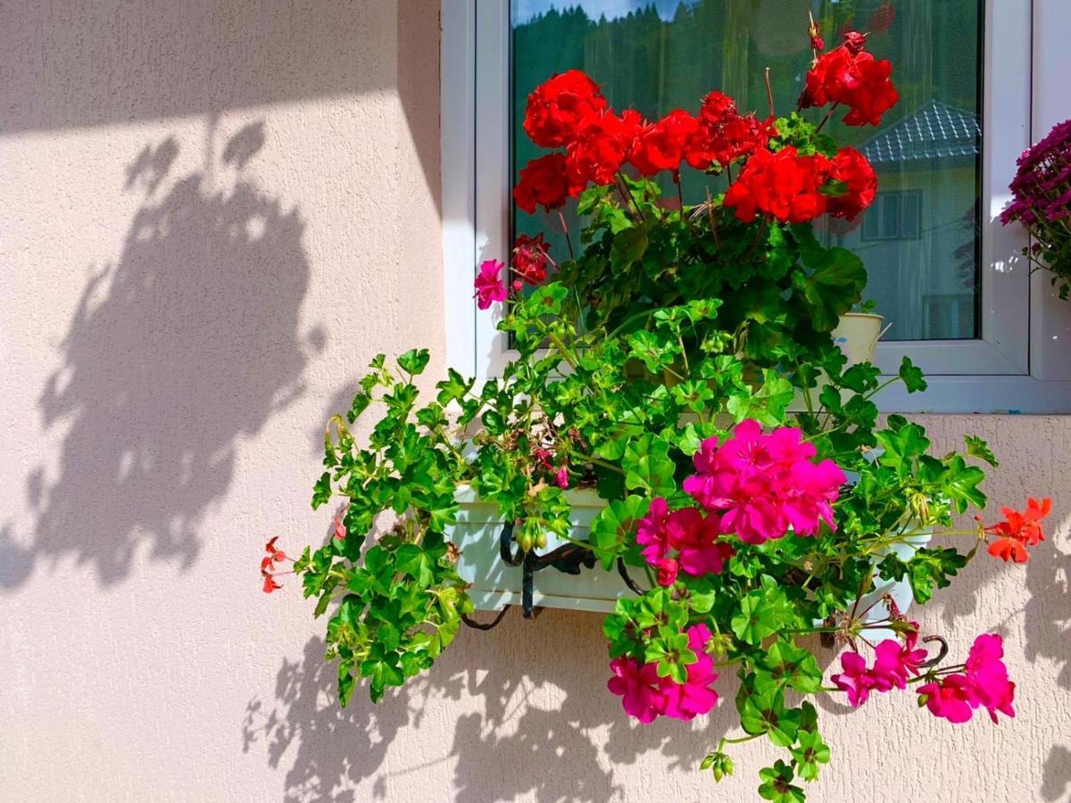 Anelisse Inn Moeciu De Sus Exteriör bild