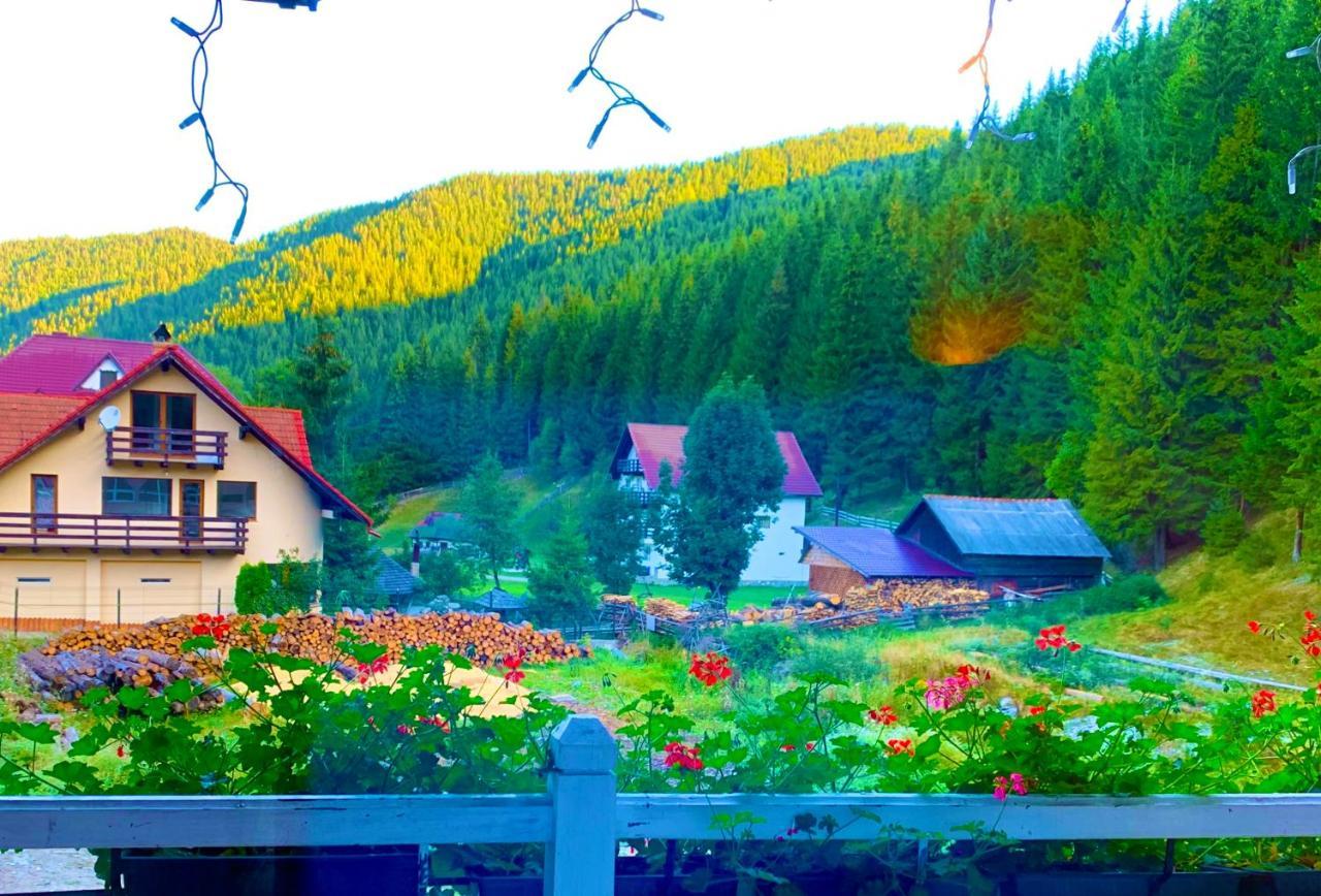 Anelisse Inn Moeciu De Sus Exteriör bild